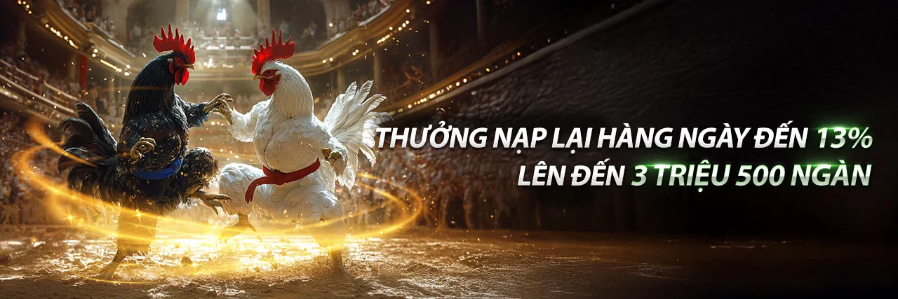 Tải ứng dụng VNQ8 chính thức 2026